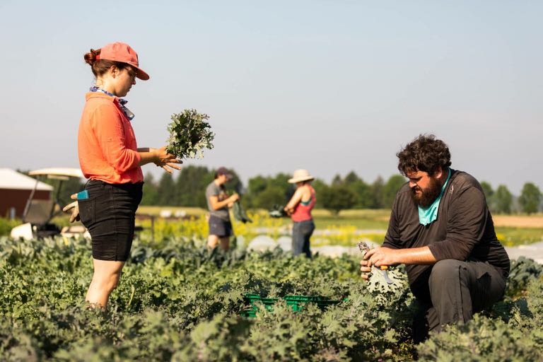 Agriculture biologique et jeunes